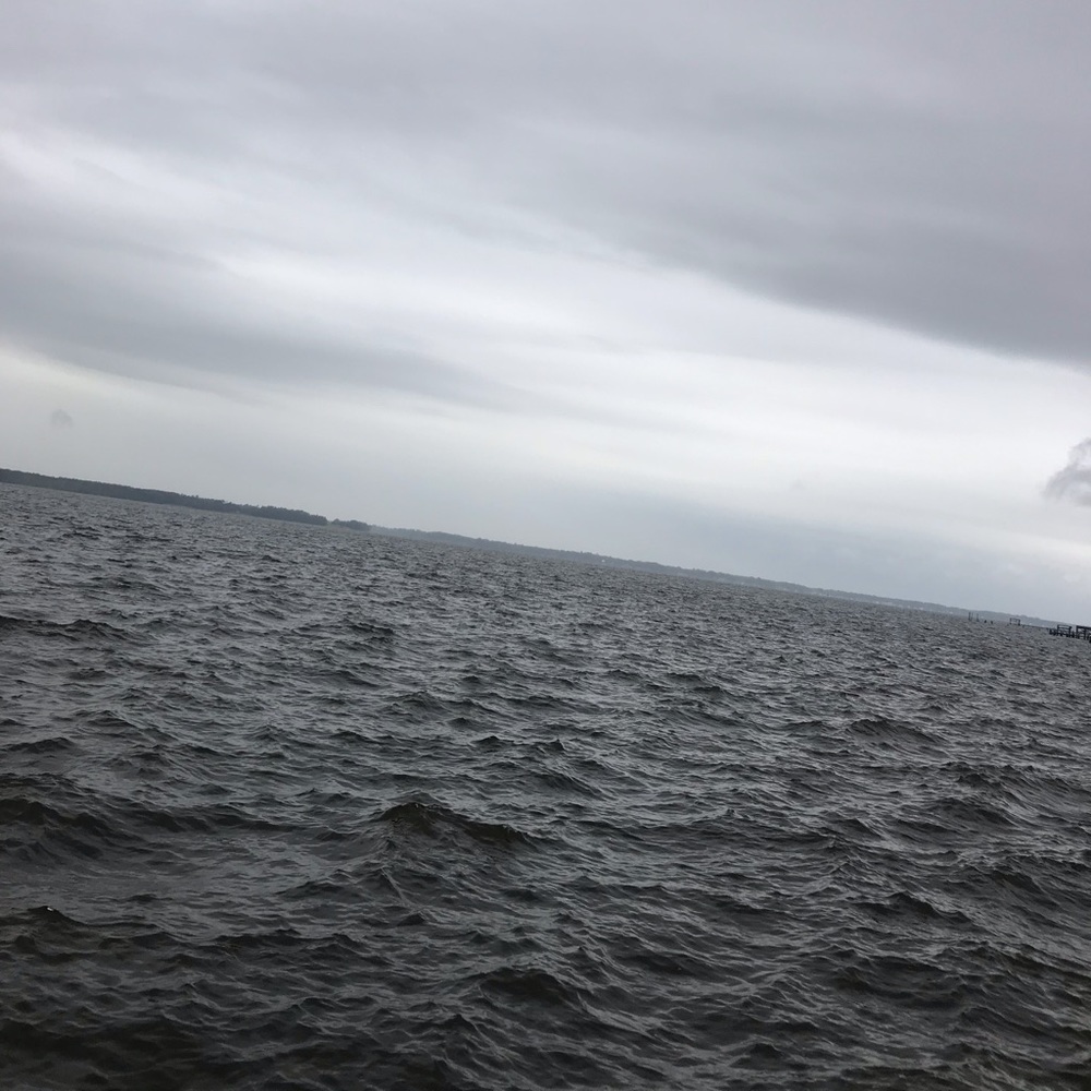 Meet your Posher, Kyleigh